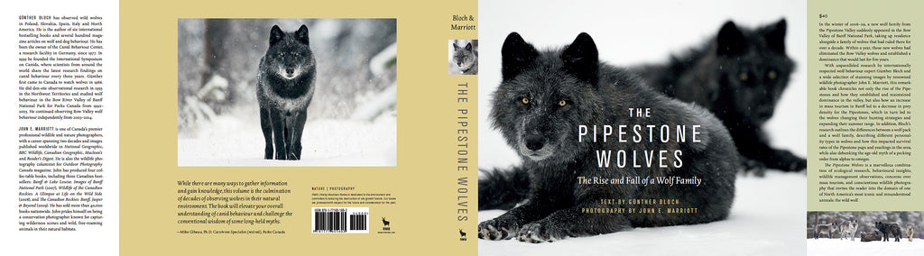 The Pipestone Wolves: The Rise and Fall of a Wolf Family
