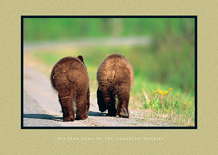 Two Bear Bums in the Canadian Rockies