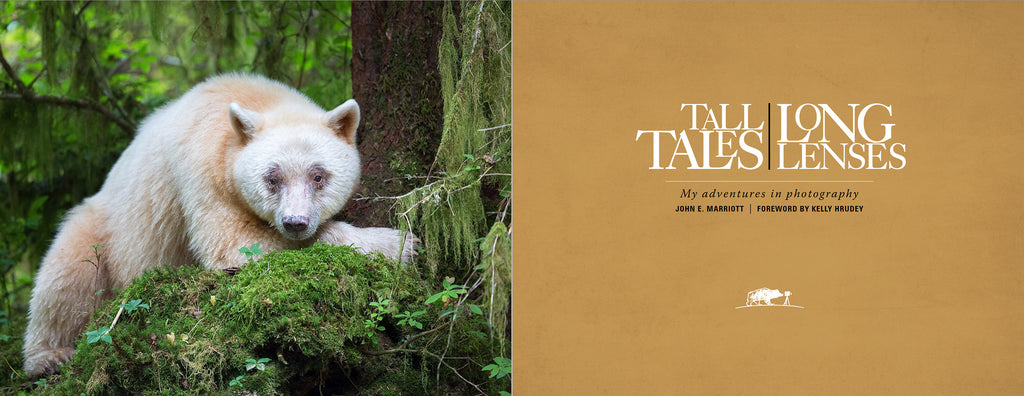 Tall Tales, Long Lenses: My Adventures in Photography