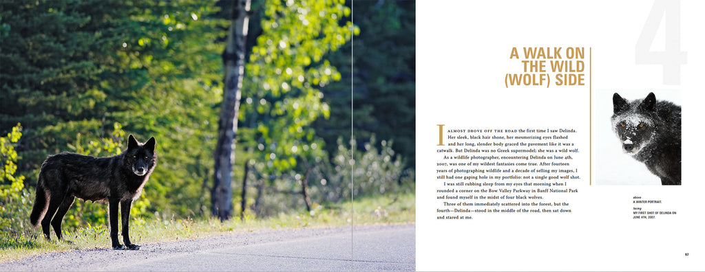 Tall Tales, Long Lenses: My Adventures in Photography