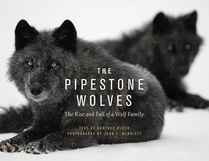SOLD OUT: The Pipestone Wolves: The Rise and Fall of a Wolf Family